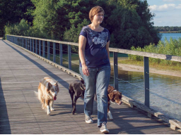 Webinar: Körpersprachliche Kommunikation mit Hunden