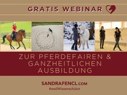 Webinar: GRATIS Webinar zur ganzheitlichen & pferdefairen Ausbildung