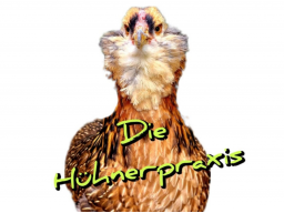 Webinar: FEDERPICKEN, FEDERFRESSEN & KANNIBALISMUS BEI UNSEREN HÜHNERN