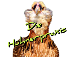 Webinar: INFEKTIÖSE BRONCHITIS BEI HÜHNERN - Mein bestes Konzept