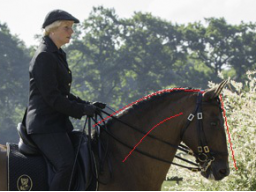 Webinar: Wie wird das Pferd durch seine Genick, Hals und Schulterposition in seinem Gangbild beeinflußt?