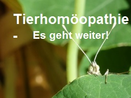 Webinar: Tierhomöopathie - AMB Arsenicum album