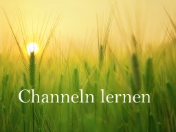 Webinar: Channeln lernen