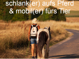Webinar: mobiler fürs Tier - schlanker aufs Pferd
