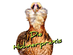 AUSBILDUNG GEFLÜGELERNÄHRUNGSBERATER (HÜHNER) - BLOCK 8