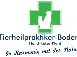 Graue Schnauze. knifflige Felle (Fälle)