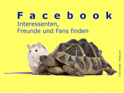 Webinar: Facebook: Fans, Interessenten und Freunde finden!