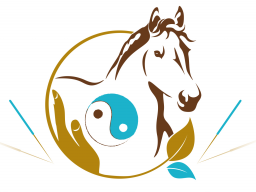 Webinar: Infowebinar Ausbildung "TCVM für Pferde - Advanced Praktiker"