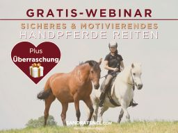 Webinar: Gratis-Webinar zum Thema Handpferde Reiten