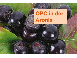 Webinar: OPC- Der Antioxidantienbooster aus der Natur