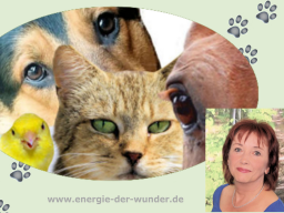 Webinar: Intuitive Tierkommunikation und Quantenheilung für Tiere