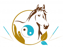 Webinar: Block 8 - TCVM für Pferde - Advanced Praktiker