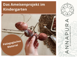 Seminar-Bild