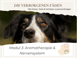 Die verborgenen Fäden  Wie Körper, Seele & Verhalten zusammenhängen