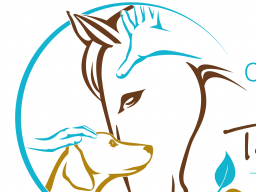 Webinar: Block 1 - Craniosakrale Therapie für Hunde und Pferde - Faszien