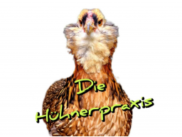 AUSBILDUNG GEFLÜGELERNÄHRUNGSBERATER (HÜHNER) - BLOCK 13