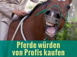 Webinar: Pferde würden von Profis kaufen - Wie Sie mit Ihrer Energie Menschen und Tiere überzeugen können