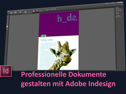 Webinar: Adobe Indesign: Lerne Deine Dokumente professionell zu gestalten