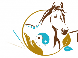 Webinar: Block 11 - Osteopunktur für Pferde