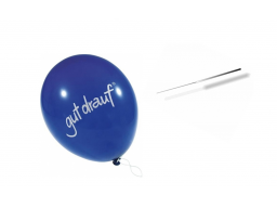 Webinar: Wie kommt die Nadel in den Luftballon - Pfiffig in Präsentationen einsteigen und nachhaltig beenden