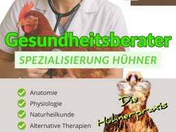 GESUNDHEITSBERATER FÜR HÜHNER - BLOCK 4