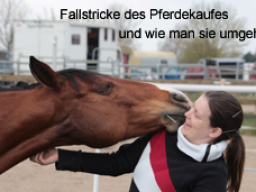 Webinar: Fallstricke des Pferdekaufs... und wie man Sie umgeht