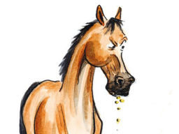 Webinar: Stilles Leid - Magengeschwüre beim Pferd Teil 1