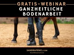 Webinar: Gratis-Webinar ganzheitliche Bodenarbeit