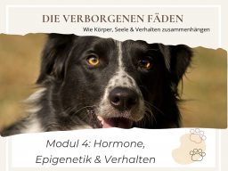 Die verborgenen Fäden  Wie Körper, Seele & Verhalten zusammenhängen