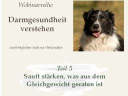 Sanft stärken, was aus dem Gleichgewicht geraten ist