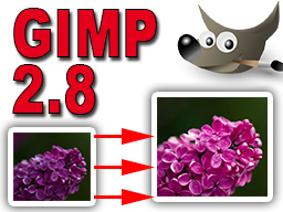 Webinar: GIMP 2.8 Grundlagen der Bildbearbeitung in GIMP