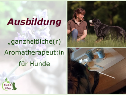 Webinar: Ausbildung ganzheitliche(r) Aromatherapeut:in für Hunde