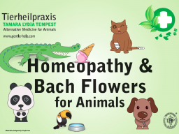 Webinar: Homeopathy and Bach Flowers for animals