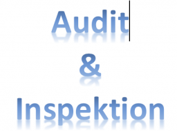 Webinar: Audit und Inspektion auf Distanz - Teil 1 von 3