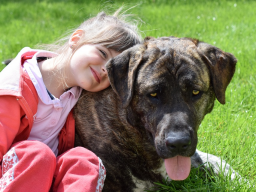 Webinar: Kinder und Hunde- das richtige Verhalten/ Gefahren