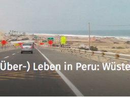 Webinar: Zwischen 2 Kulturen - Online Vortrag von Peru-Experten Holger Ehrsam