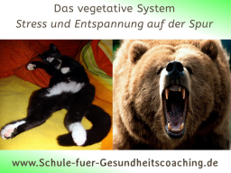 Webinar: Das vegetative System - Stress und Entspannung auf der Spur