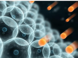 Webinar: Mitochondrien und chronische Erkrankungen