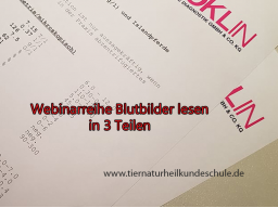 Webinar: Blutbilder lesen Teil 1
