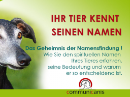 Webinar: Ihr Tier kennt seinen Namen ! Das Geheimnis der Namensfindung...