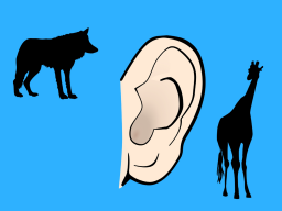Webinar: 4-Ohren-Modell der Gewaltfreien Kommunikation