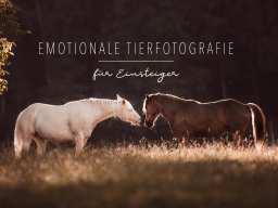 Webinar: Emotionale Tierfotografie für Einsteiger