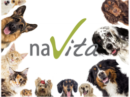 Webinar: Produkteschulung Hunde & Katzen-Naturkost