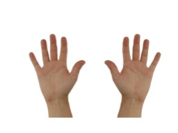 Webinar: Darf ich mit den Fingern rechnen?