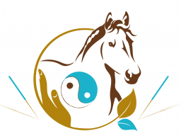 Webinar: Block 5 - TCVM für Pferde - Advanced Praktiker