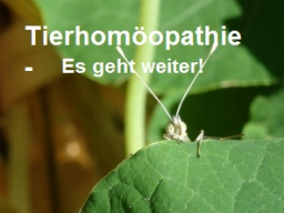 Webinar: Tierhomöopathie - Arzneimittelbild Phosphorus