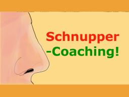 Webinar: kostenfreies Social Media Schnupper-Coaching, Einzelgespräch
