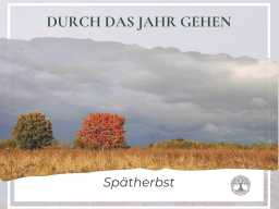 Durch das Jahr gehen  unterschiedliche Zeiten wahrnehmen und mit Duft erleben