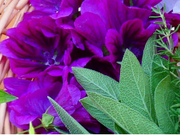 Franzbranntwein herstellen