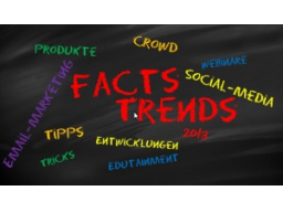Webinar: 2. Facts & Trends am 28.02.2013